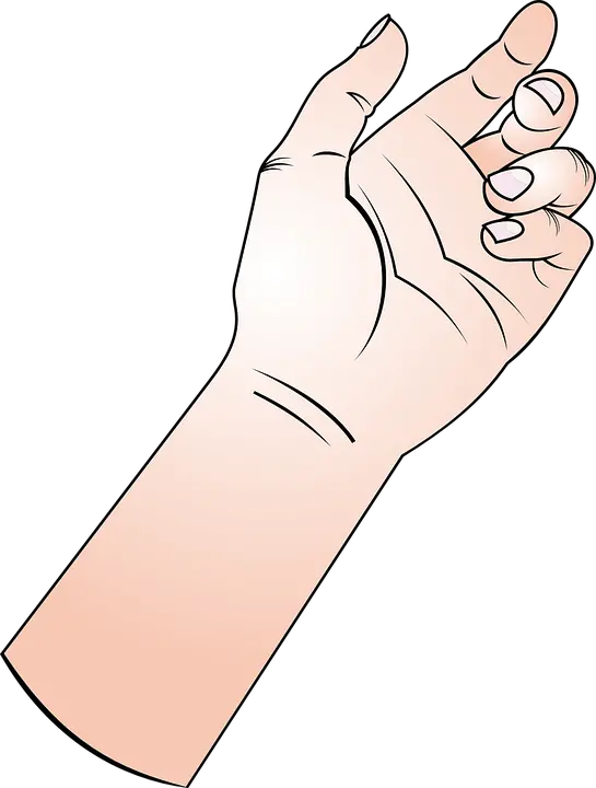 Holding Hand Clip Art Animated Hand Holding Something Png Holding Hands Png