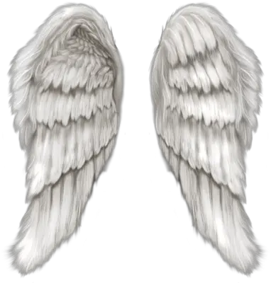 Angel Wings Template Png