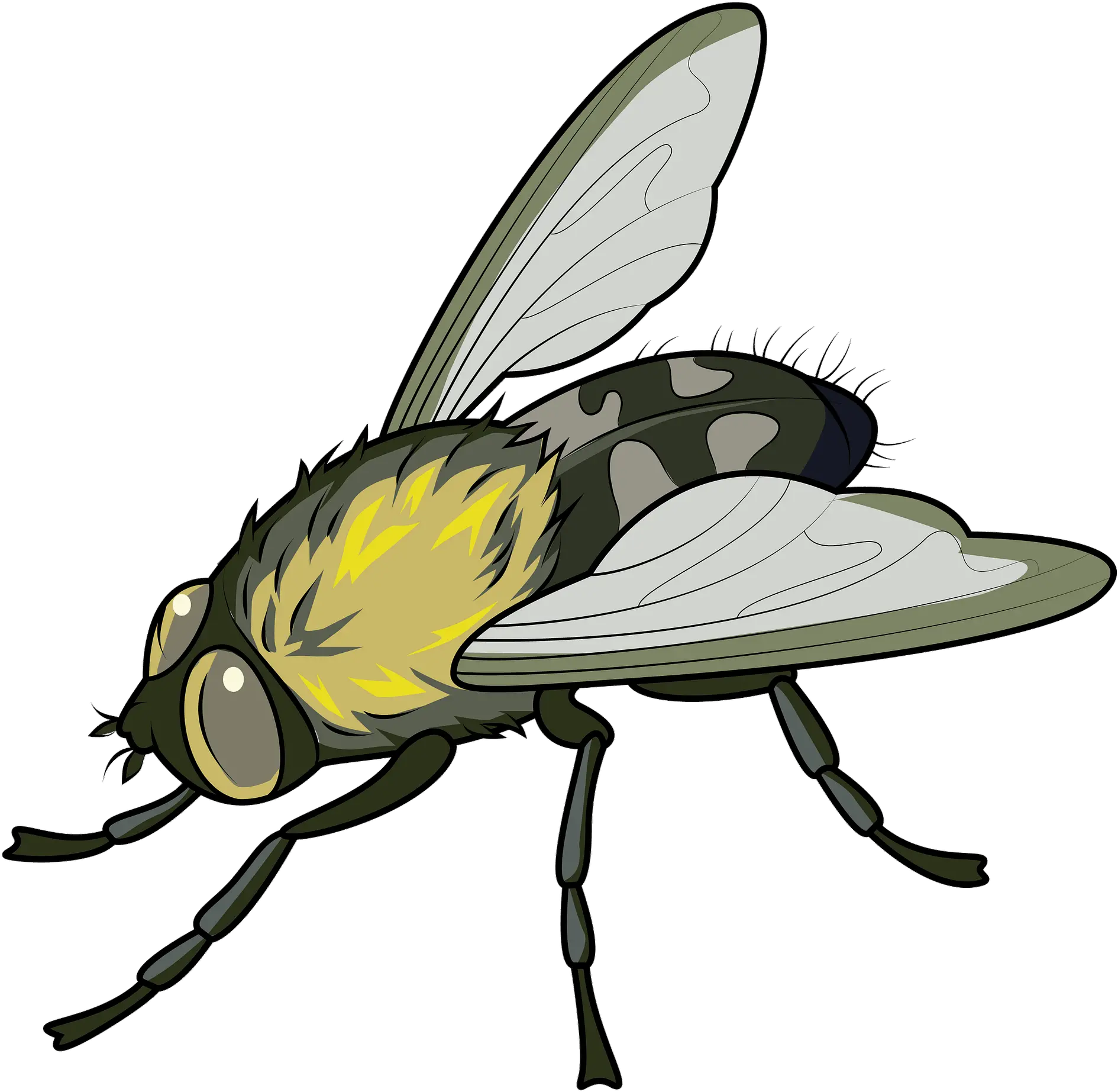 Clipart Fly Clipart Png Fly Transparent