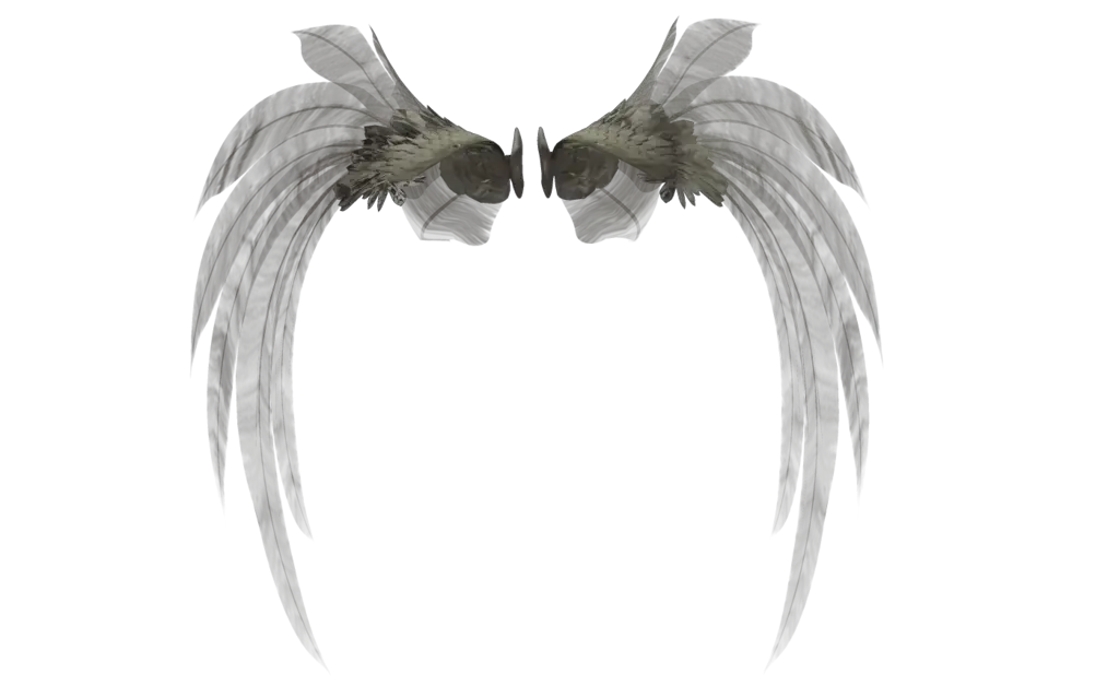 Angel Wings Sideways Png