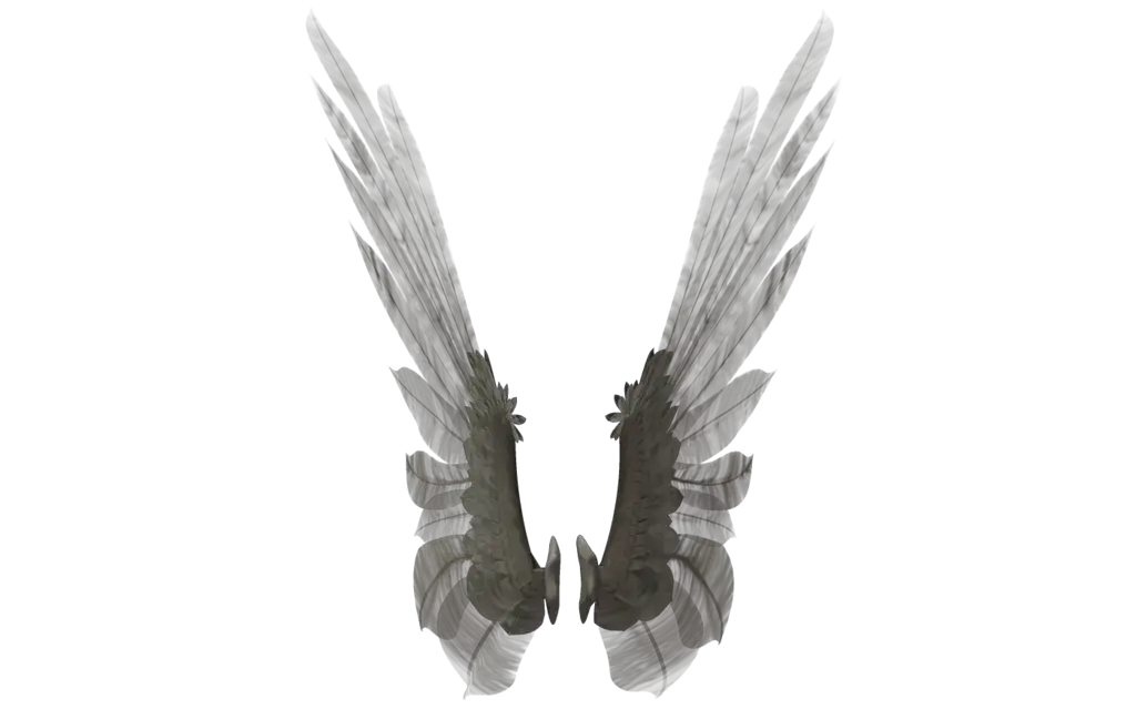 Angel Wings Png Silver