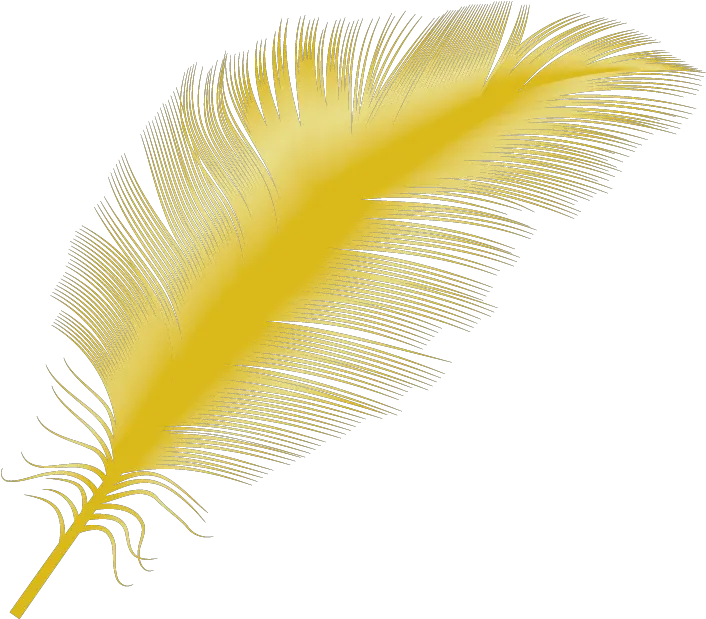 Transparent Yellow Feather Png Bird Gold Feather Png Feather Transparent Background