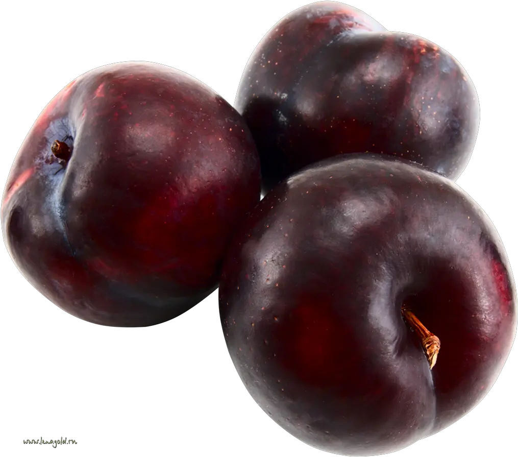 Plum Png Image For Free Download Plum Plum Png