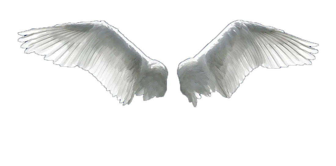 Angel Wings Png Photoshop