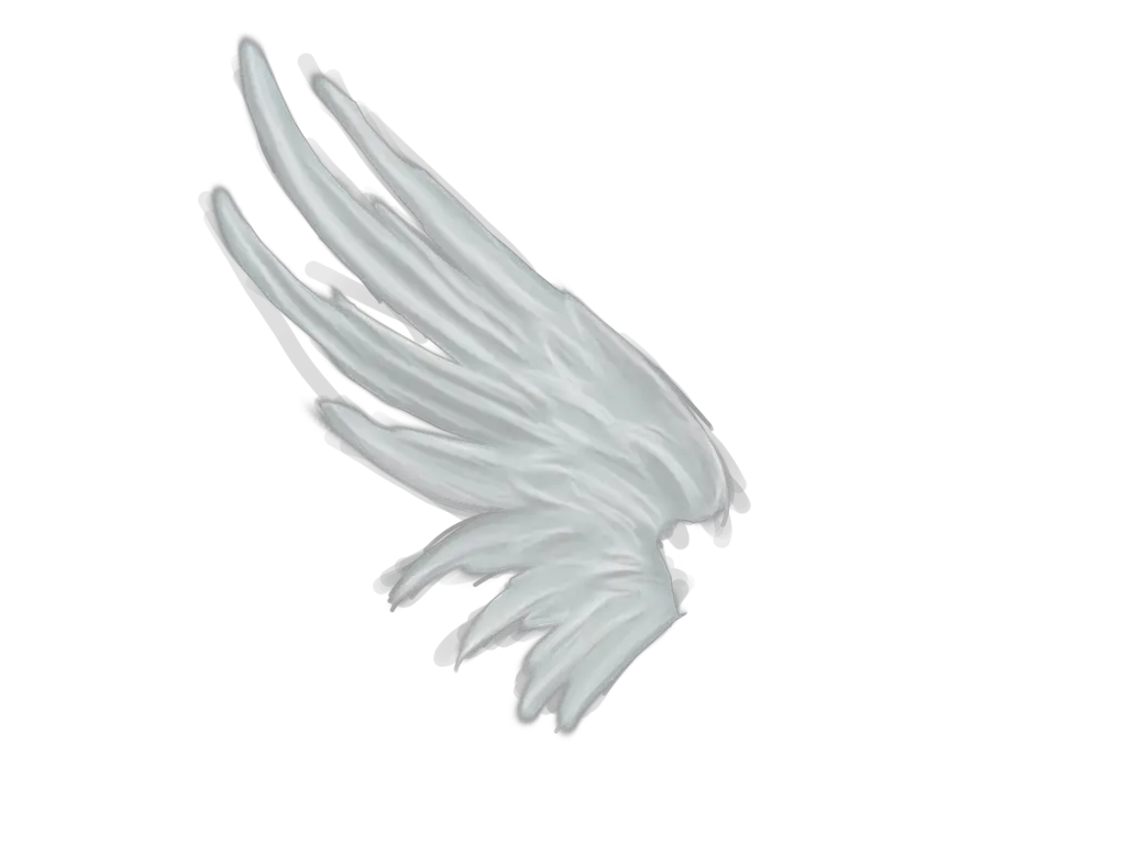 Angel Wings Png Line Drawing