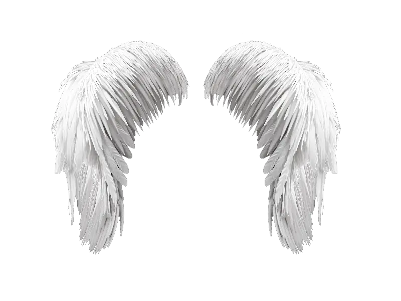 Angel Wings Png Front