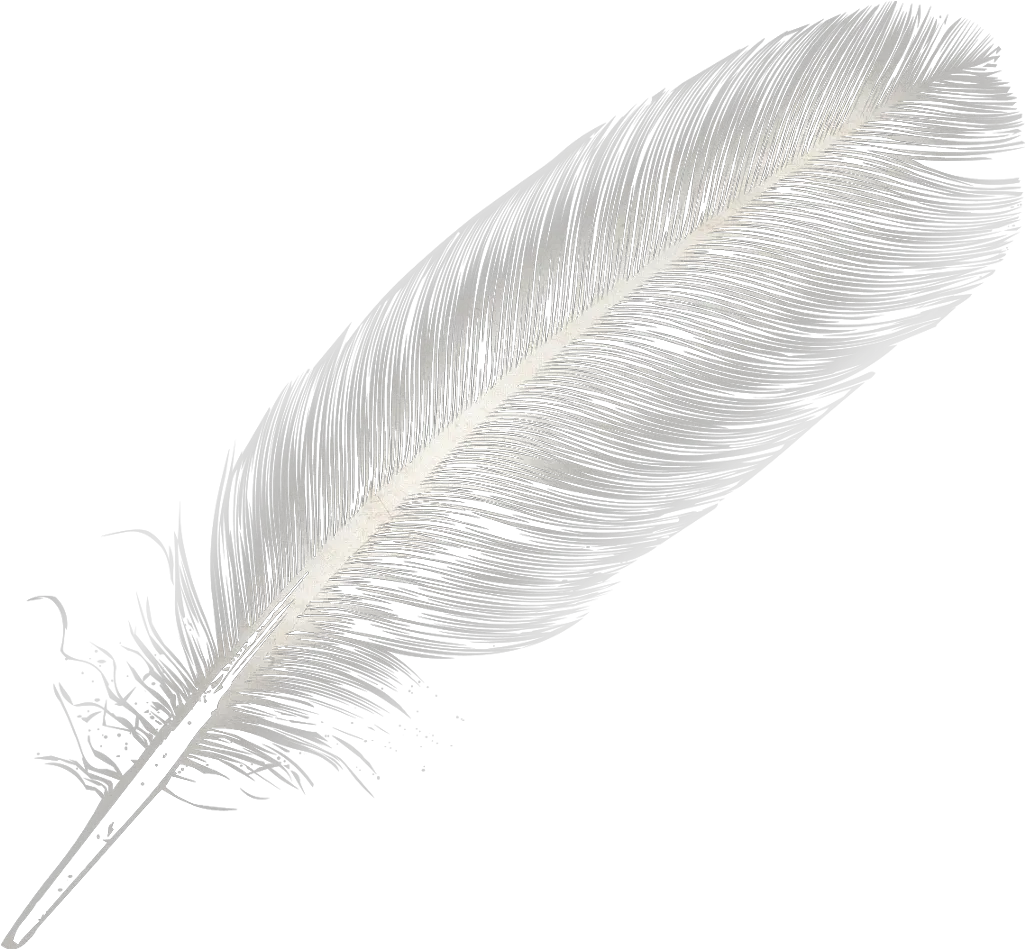Feather Feather Alpha Png Feather Png