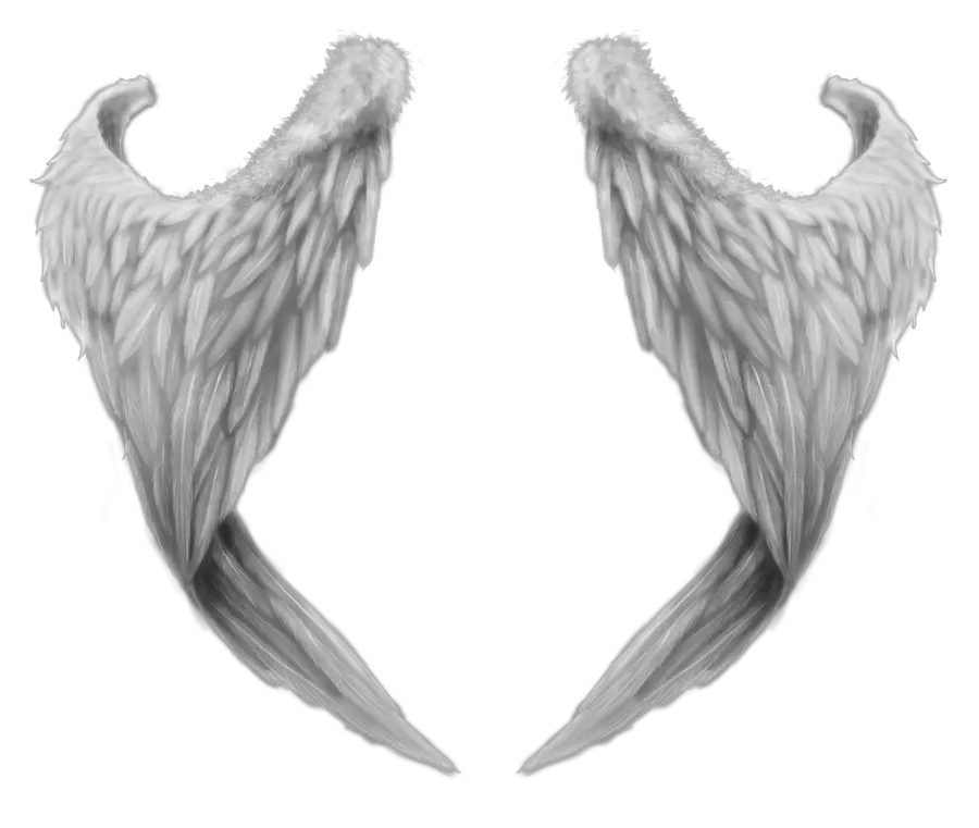 Angel Wings Png Cutout