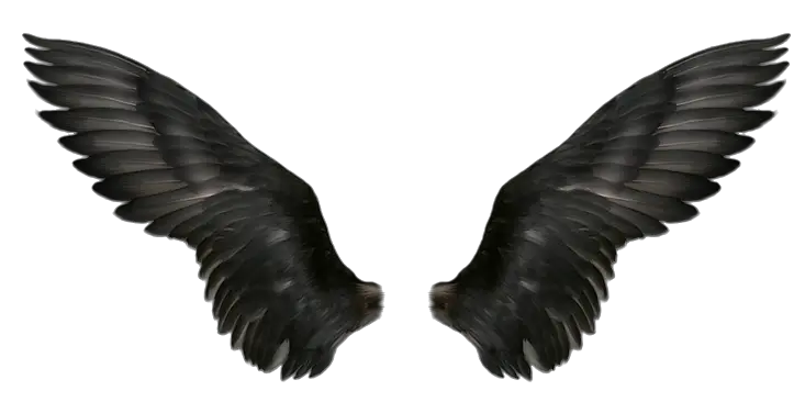 Angel Wings Png Anime