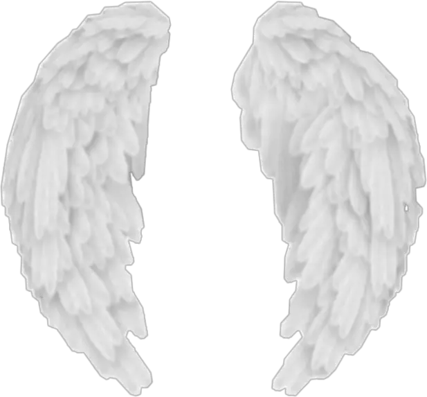 Angel Wings Illustration Png