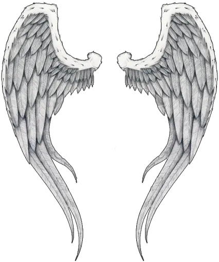 Angel Wings Outline Clipart Png