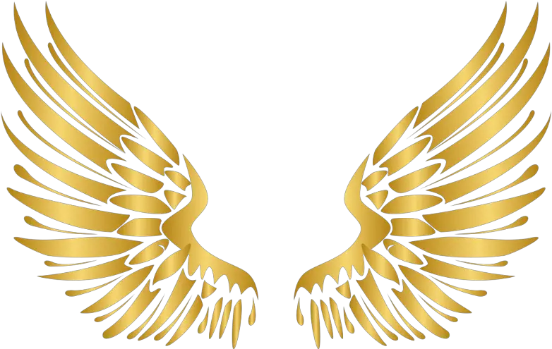 Angel Wings Heart Png