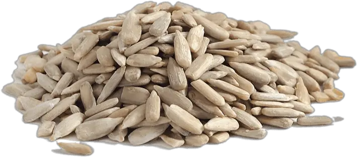 Sunflower Seed Transparent Png Raw Sunflower Seeds Seed Png