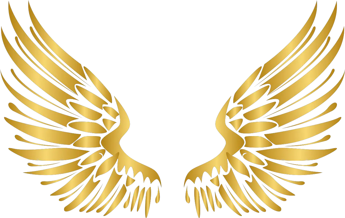 Angel Wings Flat Png