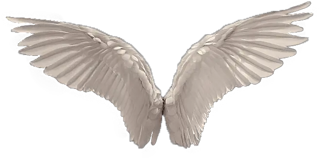 Angel Wings And Halo Silhouette Png