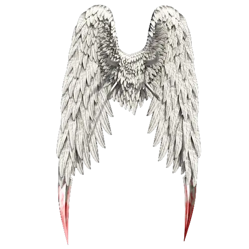 Angel Wings Borders Png Format