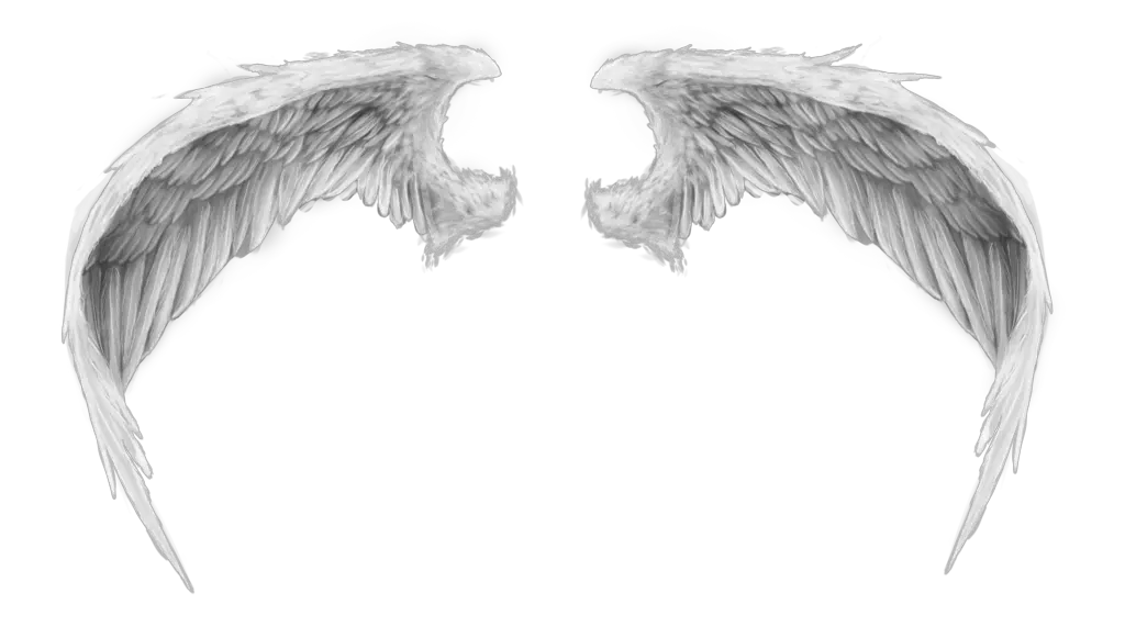Angel Wings Black And White Drawing Png