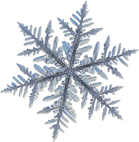 Real Snowflake Silverware Black Spiral Notebook Two Snowflakes Png Snowflake Transparent