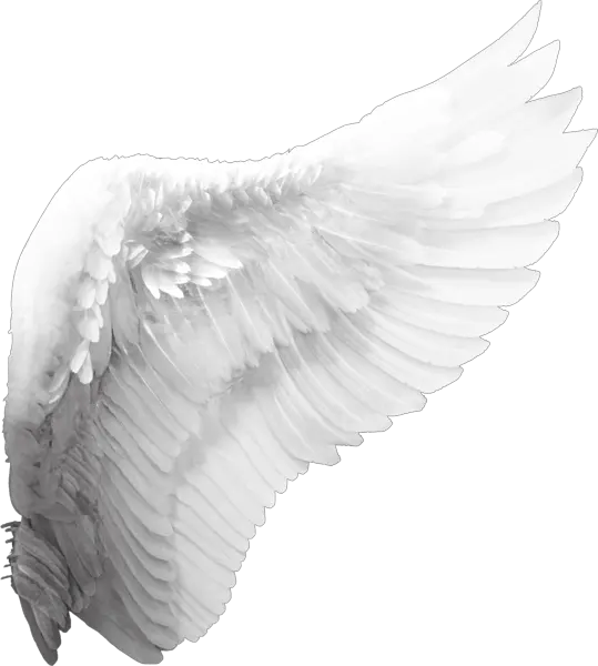 Angel Wing Tattoo Png