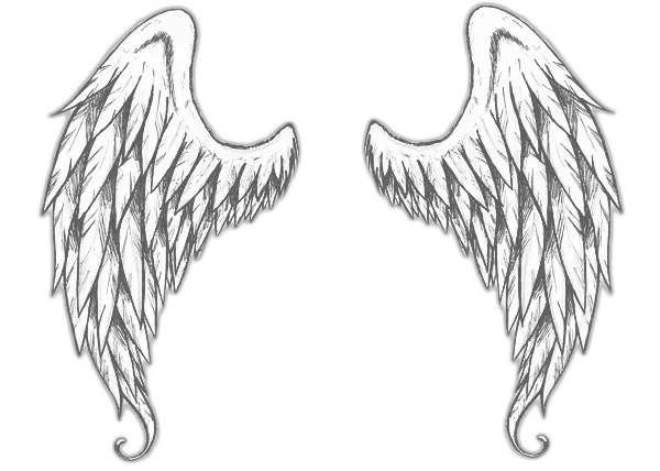 Angel Wing Patch Png