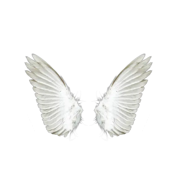 Angel Wing Clip Art Png