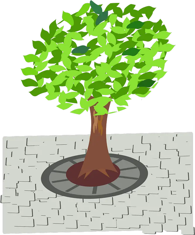 Green Tree In The Sidewalk Clipart Free Download Street Tree Clipart Png Side Walk Png