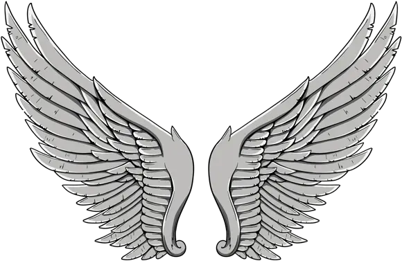 Angel Wing Png