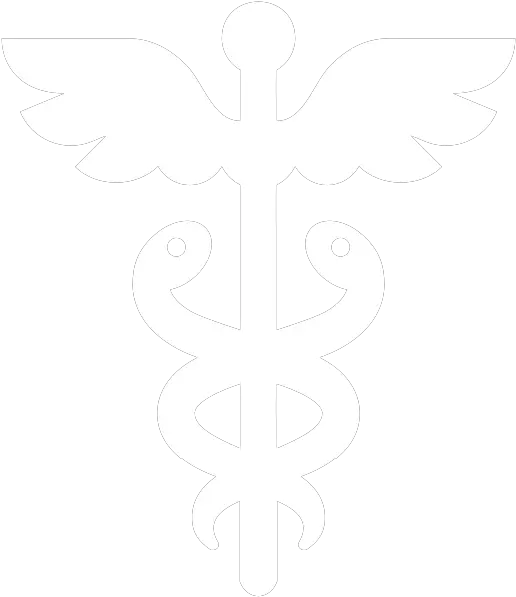 Combat Medic Survivio Wiki Fandom Surviv Io Medic Png Medic Icon