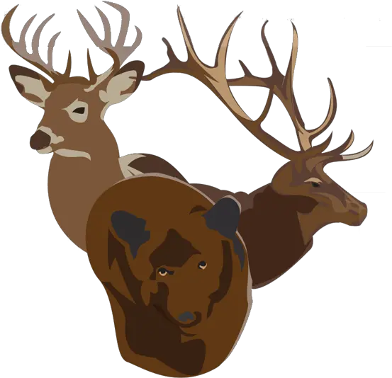 Bucks Bulls Bears Elk Clipart Full Size Clipart Caribou Png Bull Bear Icon