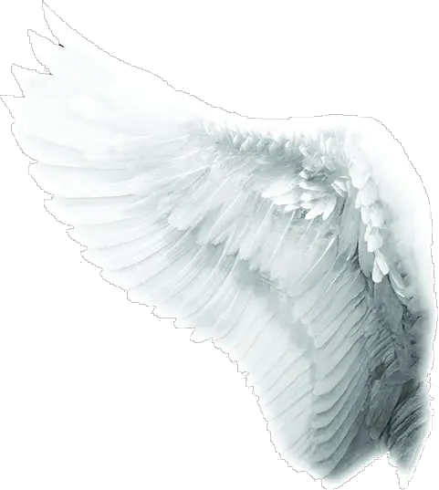 Angel Skull Sword Wings Tattoo Png