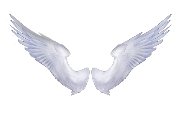 Aesthetic Angel Wings Png