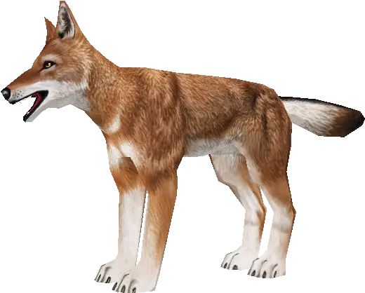 Pc Computer Ethiopian Wolf Transparent Background Png Zoo Tycoon 2 Icon