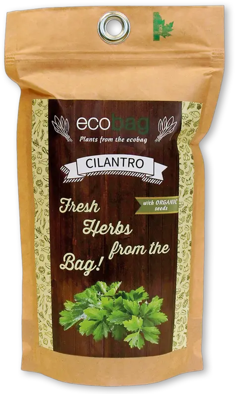 Cilantro Png