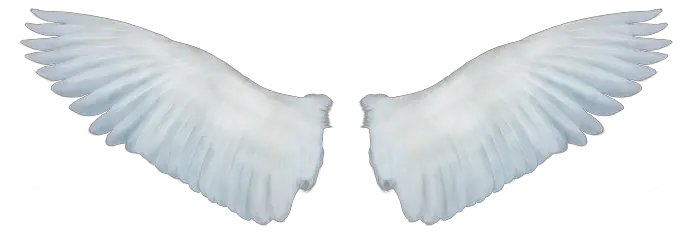 Angel And Wing Png