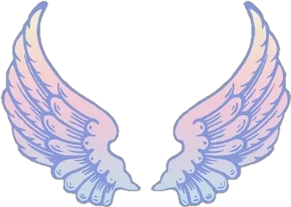Wings Png Angel