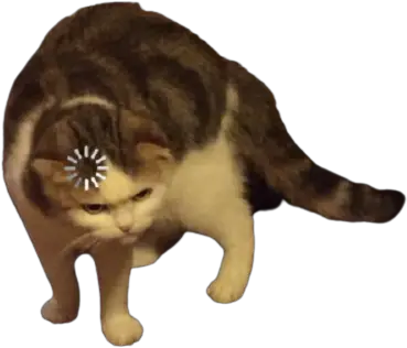 Loading Cat Transparent Blank Template Gato Cargando Meme Png Cat Meme Icon