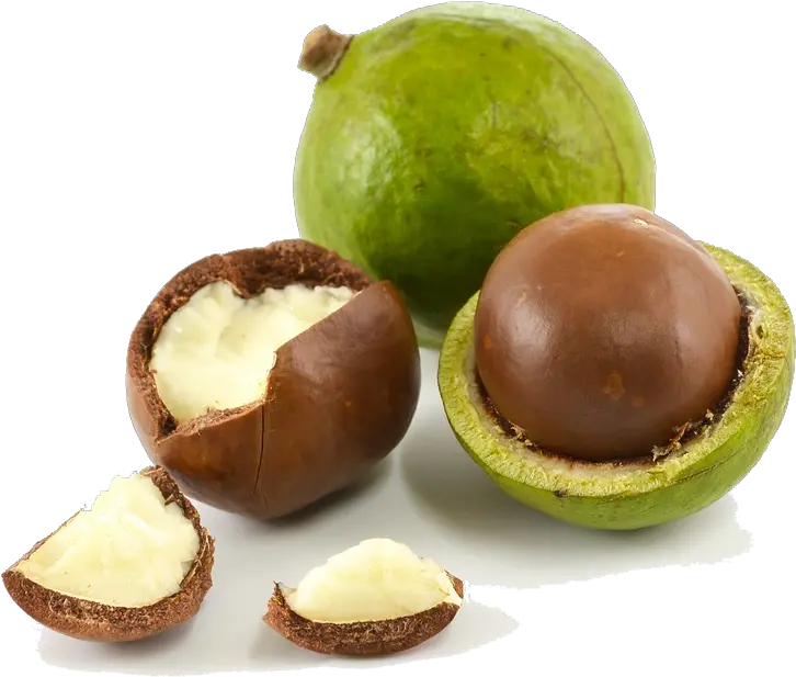 Macadamia Nuts Png High Quality Image Png Arts Macadamia Png Nuts Png