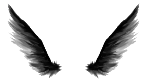 Angel Wings Png File