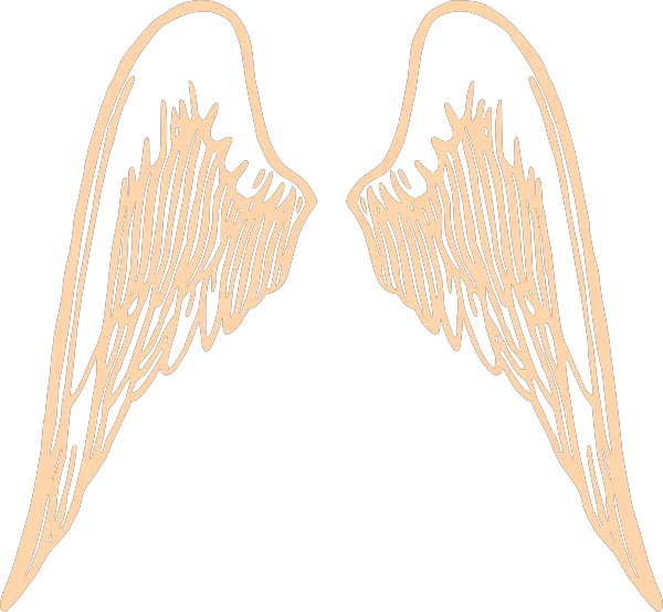 Angel Wings Png Download