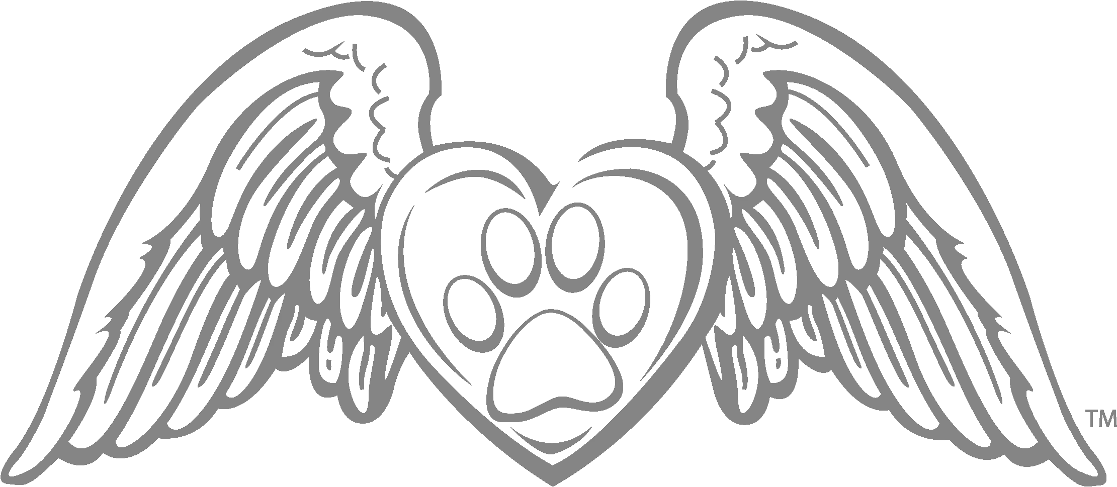 Angel Wings Images Png