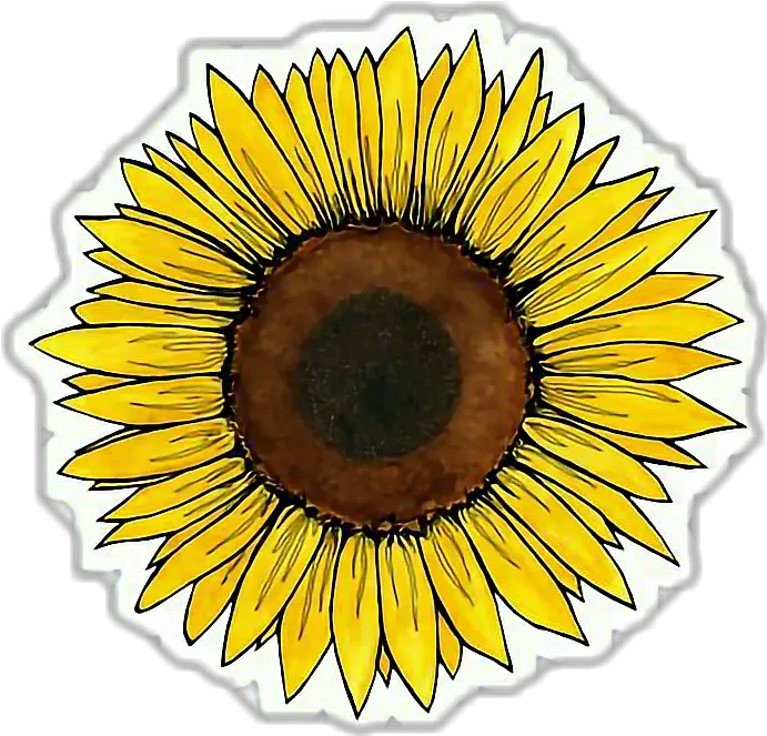 Clipcookdiarynet Yellow Flower Clipart Tumblr Png Flowers Transparent Tumblr