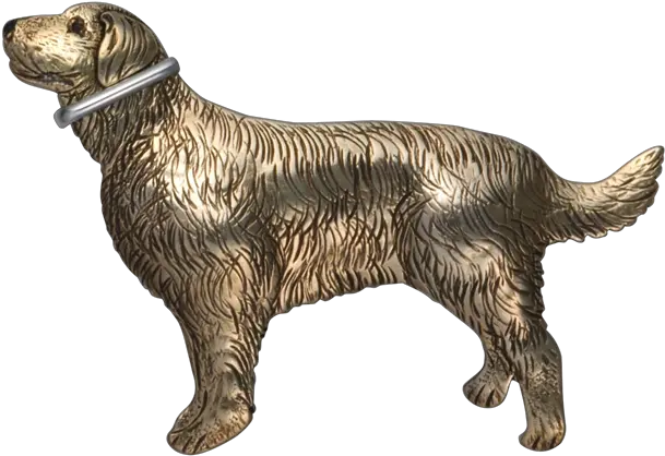 Golden Retriever Pinpendant U2014 Courtney Design Dog Catches Something Png Golden Retriever Png