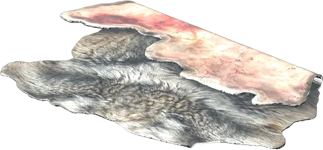 Wolf Pelt Dayz Wiki Hooded Seal Png Fur Png