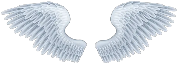 Angel Wings PNG