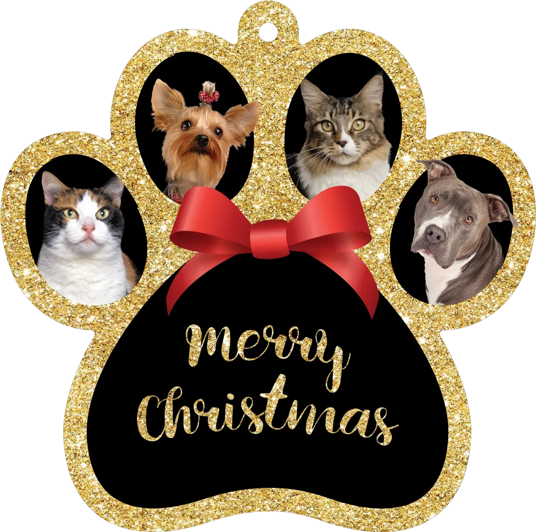 Merry Christmas Pets At Home Png Merry Christmas Gold Png