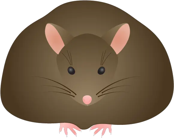 Brown Mouse Clip Art Fat Rat Clipart Png Rat Transparent Background