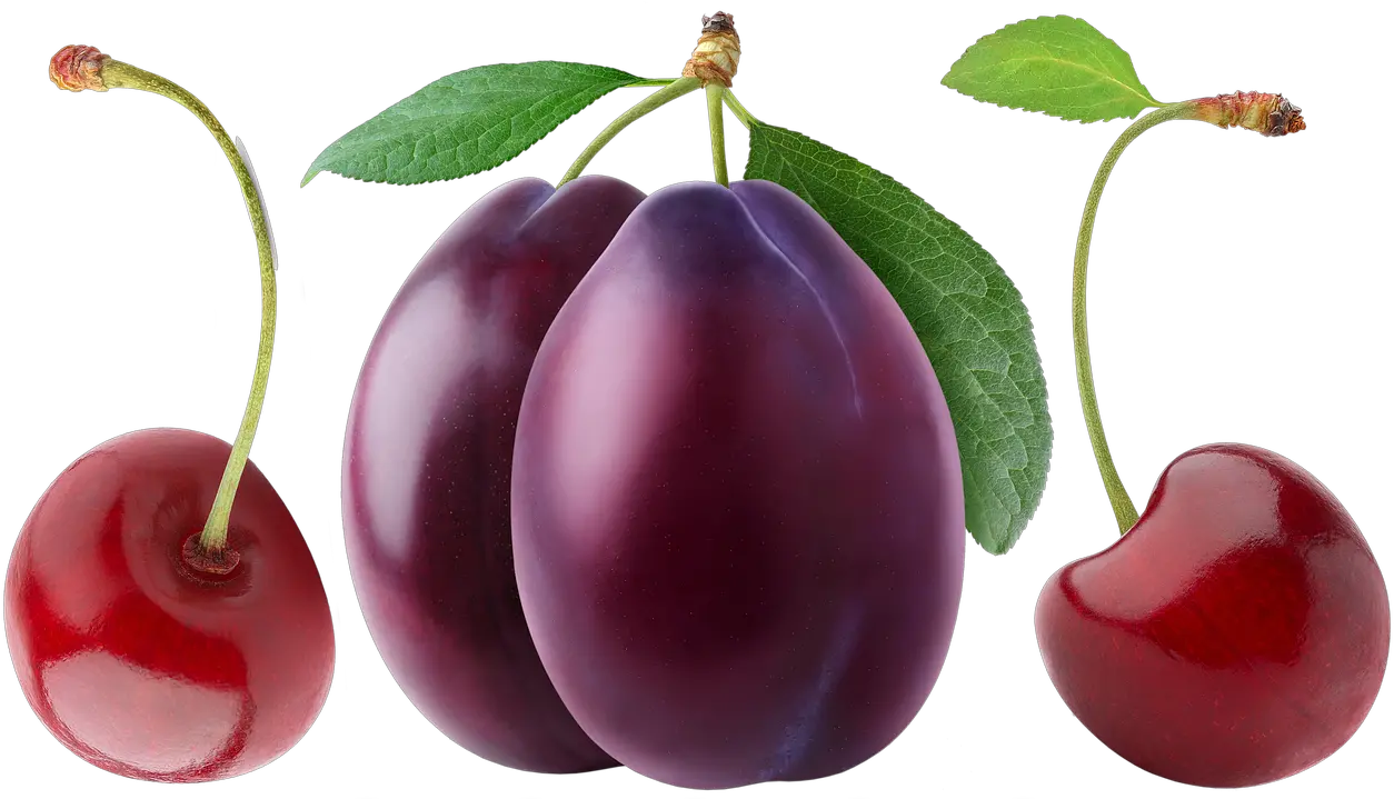 Cherry Plum Berry Free Image On Pixabay Plum Fruit Png Plum Png