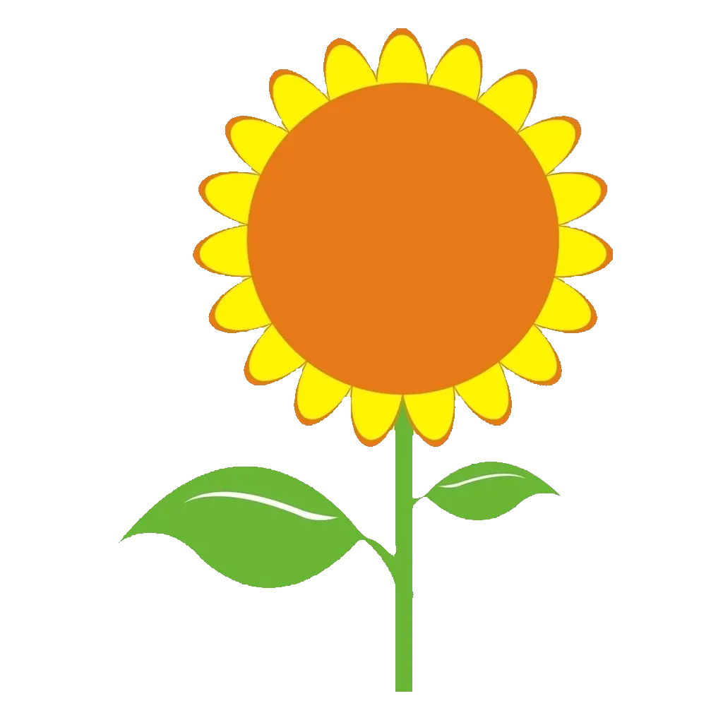 Transparent Background Sunflower Png