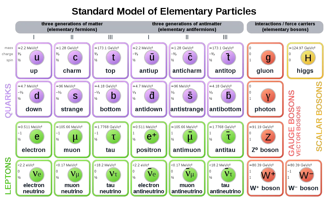 Filestandard Model Of Elementary Particles Antisvg Wikipedia Standard Model Of Elementary Particles Png Particles Png