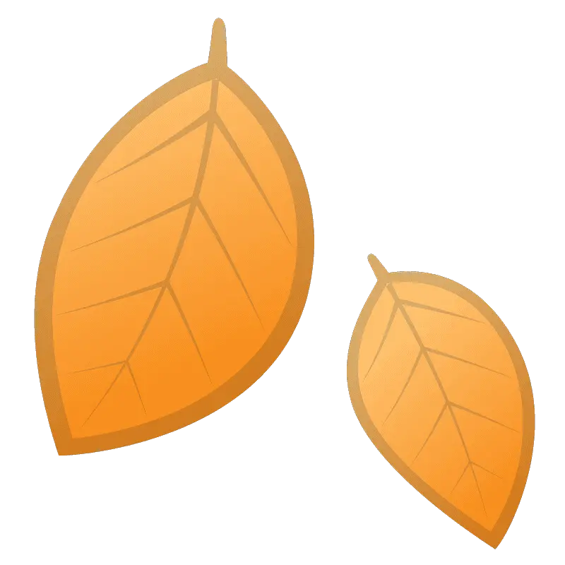 Fallen Leaf Emoji Meaning With Pictures From A To Z Significado Png Falling Leaves Transparent
